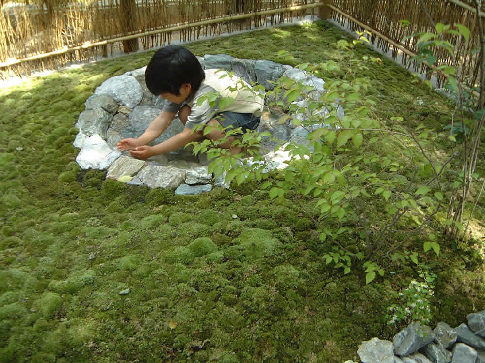 12人の庭 2002