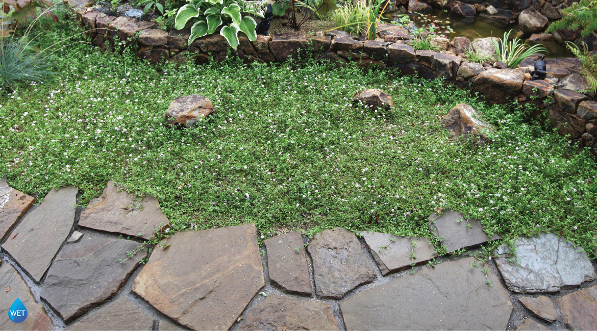 アルデンヌ・クレイジー｜敷く・乱形｜自然石などのマテリアル（取扱い